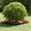 Product Thumbnail Image 3 of 11