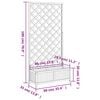 Product Thumbnail Image 9 of 9
