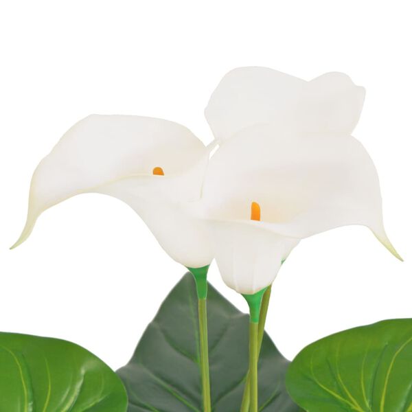 Showing Product Image 2 of 2