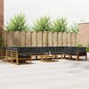 Product Thumbnail Image 2 of 12