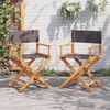 vidaXL Folding Director Chairs 2 pcs&nbsp;Dark Grey Fabric