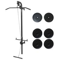 vidaXL Wall-mounted Power Tower with Weight Plates 40 kg