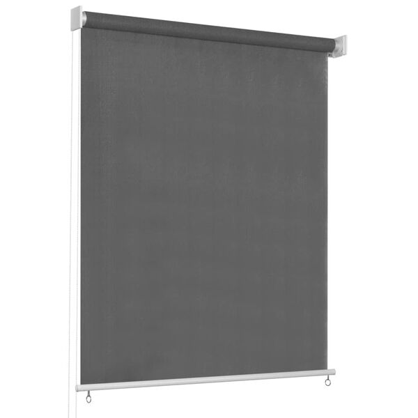 vidaXL Outdoor Roller Blind 60x230 cm Anthracite