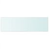 vidaXL Shelf Panel Glass Clear 80x25 cm