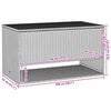 vidaXL Outdoor Cushion Box Grey 100x55x55.5 cm Poly Rattan