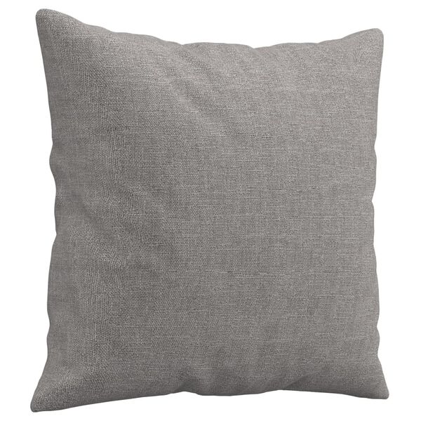 vidaXL Throw Pillows 2 pcs Light Grey 40x40 cm Fabric