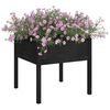 Product Thumbnail Image 3 of 7