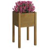vidaXL Garden Planters 2 pcs Honey Brown 40x40x70 cm Solid Pinewood