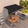 vidaXL Manual Retractable Awning 400x350 cm Anthracite