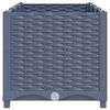 Product Thumbnail Image 4 of 9