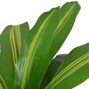 vidaXL Artificial Dracaena Plant with Pot 90 cm Green