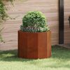 Product Thumbnail Image 2 of 11