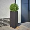 Product Thumbnail Image 2 of 10