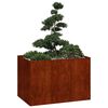 Product Thumbnail Image 3 of 11