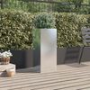Product Thumbnail Image 3 of 10