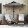 vidaXL Garden Parasol Anthracite 294 x 150 x 223 cm