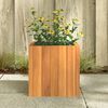 Product Thumbnail Image 3 of 9