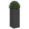 Product Thumbnail Image 4 of 11