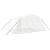 vidaXL Greenhouse with Steel Frame White 20 m&sup2; 5x4x2.3 m