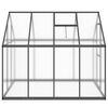 vidaXL Greenhouse with Base Frame Anthracite 224x169x195 cm Aluminium