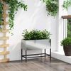 Product Thumbnail Image 4 of 13