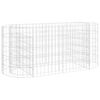 vidaXL Gabion Raised Bed | Silver | Galvanised iron | 120x50x50 cm