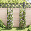 vidaXL Garden Arch Tower 2 pcs