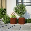 vidaXL Garden Planters 2 pcs Hexagon 46x40x45 cm Weathering Steel