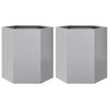 vidaXL Garden Planter 2 pcs Hexagon 46x40x45 cm Galvanized Steel