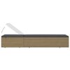 vidaXL Sunlounger Poly Rattan Brown and Dark Grey
