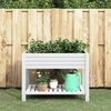 vidaXL Garden Raised Bed White 110x45x79 cm Polypropylene