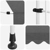 vidaXL Manual Retractable Awning 200 cm Anthracite