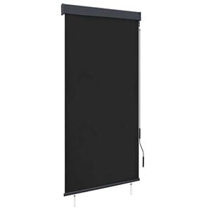 vidaXL Outdoor Roller Blind 100x250 cm Anthracite