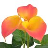 Product Thumbnail Image 2 of 2