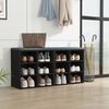 vidaXL Shoe Cabinets 2 pcs Black 52.5x30x50 cm