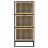 vidaXL Shoe Cabinet Black 52x25x120 cm Engineered Wood