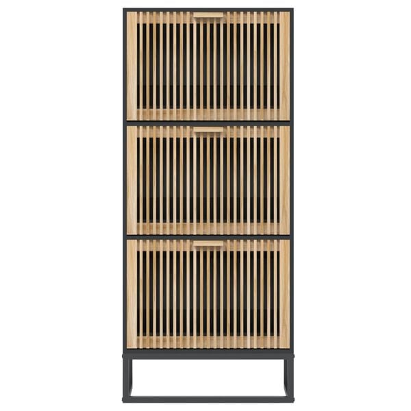 vidaXL Shoe Cabinet Black 52x25x120 cm Engineered Wood