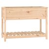 vidaXL Planter with Shelf 111.5x54x81 cm Solid Wood Pine
