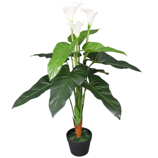Showing Product Image 1 of 2