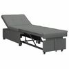 vidaXL Pull Out Sofa Bed Dark Grey 194 x 50 x 82 cm Plywood