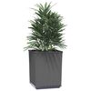 vidaXL Planters 2 pcs Black 30x30x37 cm Polypropylene