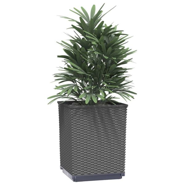 vidaXL Planters 2 pcs Black 30x30x37 cm Polypropylene