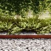 vidaXL Lawn Edging 10 pcs Brown 100 x 0.05 x 20 cm Weathering Steel