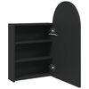 vidaXL Bathroom Mirror Cabinet with LED Light Arched Black 42x13x70 cm