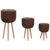 vidaXL Planter | Set of 3 | Brown | Wicker, Beech wood, PE lining