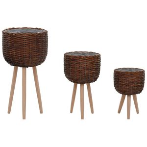 vidaXL Planter | Set of 3 | Brown | Wicker, Beech wood, PE lining