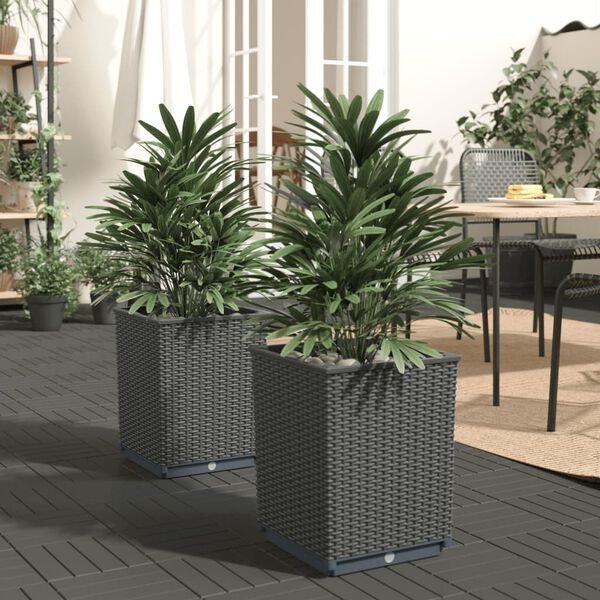 vidaXL Planters 2 pcs Black 30x30x37 cm Polypropylene