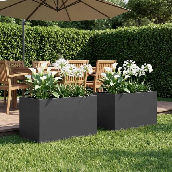 Showing Product Image 2 of 8
