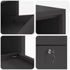 vidaXL Parcel Drop Box with Storage Black 44 x 22 x 82 cm Steel