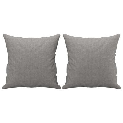 vidaXL Throw Pillows 2 pcs Light Grey 40x40 cm Fabric